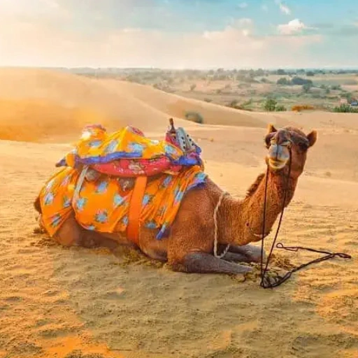 EventCAMEL RIDE-3