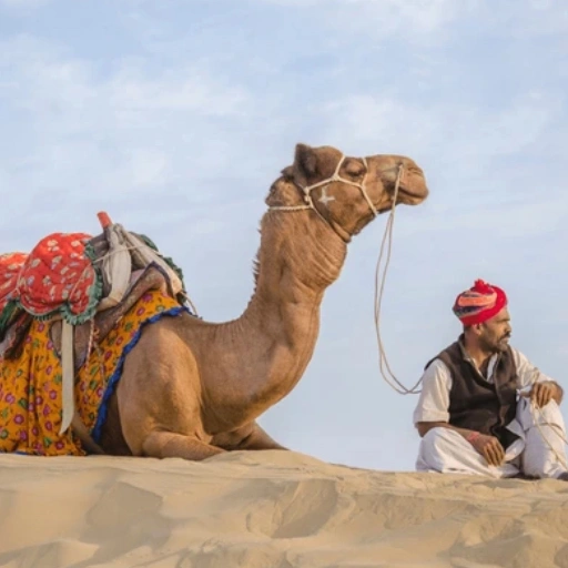 EventCAMEL RIDE-5